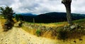 Walking through a path on the mountains in the Spanish trail. Beautiful nature all along the road.