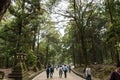 Walking path in Nara Park.