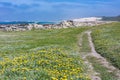 Walking  path near green grassy dunes along a rocky beach and a sea under a blue sky in bright sunlight in summer, Schoenmakerskop Royalty Free Stock Photo