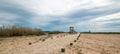 Walking path next birdwatching viewing hut in San Jose del Cabo lagoon / estuary in Baja California Mexico