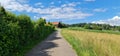 Walking path next to hedge with blue sky and clouds green field corn and wheat Royalty Free Stock Photo