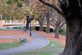 Walking path in the park