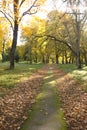 Walking path through a park in autumn.