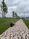 walking path in the park is paved with multi-colored paving stones. Bench and trash can next to the sidewalk. Bicycle Royalty Free Stock Photo