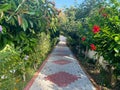 Walking path, path, tunnel of beautiful natural plants, bushes and flowers in a hotel on vacation in a warm tropical eastern Royalty Free Stock Photo