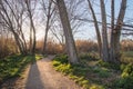 Walking path with riverine trees