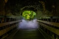 Walking path with scary smoke effect, creepy looking halloween cave, misty den, horror scenery