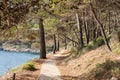 Walking path on a sea shore