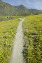 Walking path through spring flowers Royalty Free Stock Photo