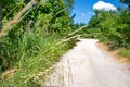 Walking path in spring Royalty Free Stock Photo