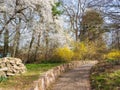 Walking path, Spring park with blooming fruit trees . Resting place in Braunschweig, Dowesee, Germany. Spring landscape Royalty Free Stock Photo