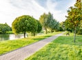 Walking path in the summer park on a clear sunny day Royalty Free Stock Photo