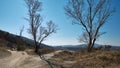 Walking path to Devin Castle, Slovakia