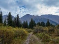 Walking path to the mountain gorge Royalty Free Stock Photo