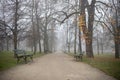 A walking path through a tranquil park - misty autumn background Royalty Free Stock Photo