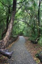 Walking Path at Victoria Falls, Zimbabwe Royalty Free Stock Photo