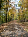 Walking path in Wilber Park Royalty Free Stock Photo