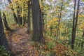 Walking path windong through the woods at the top of a steep drop, beautiful autumn colors Royalty Free Stock Photo