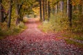 Walking path at State Park in Peak Fall Color Royalty Free Stock Photo