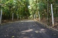 Walking path through a wooded forest. Long, straight and paved site Royalty Free Stock Photo