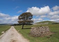 Walking path on the Yorkshire Dales