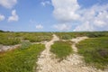 Walking Paths on Dry Tortugas