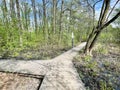 Walking paths in the Solnechnaya Park in May. Moscow region, Balashikha city