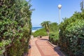 Public Walking Pathway Beach Ocean Landscape