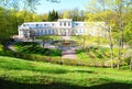 Walking in the Pavlovsk park. St Petersburg suburb.