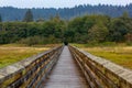 walkway over grassy marsh land in summer Royalty Free Stock Photo