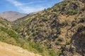 Walking through the Poqueira gorge