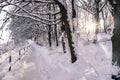 Walking promenade in Salzburg, snowy winter landscape Royalty Free Stock Photo