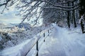 Walking promenade in Salzburg, snowy winter landscape Royalty Free Stock Photo