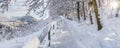 Walking promenade in Salzburg, snowy winter landscape Royalty Free Stock Photo