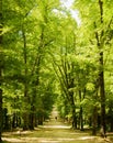 Walking through the Public Park of La Granja