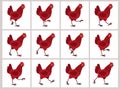 Walking red hen animation sprite sheet isolated on white background