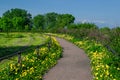 Walking round footpath, trail turning left between grass with blooming yellow dandelions behind a small metal fence, green trees Royalty Free Stock Photo