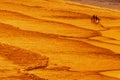 Walking on sea beach Royalty Free Stock Photo