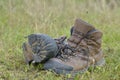 Walking shoes. All terrain shoes Royalty Free Stock Photo