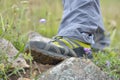 Walking shoes. All terrain shoes Royalty Free Stock Photo