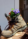 Walking shoes with spring decoration Royalty Free Stock Photo