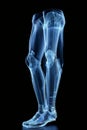 Walking Skeleton: X-ray style 3D Illustration of Human Lower Limbs Royalty Free Stock Photo