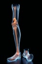Walking Skeleton: X-ray style 3D Illustration of Human Lower Limbs Royalty Free Stock Photo