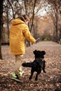 Walking the small black dog in the autumn park Royalty Free Stock Photo