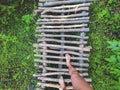 walking on small wood bridge to nature walk way. A wooden walkway leads through the forest. Wooden Boardwalk Royalty Free Stock Photo