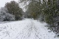 Cycle tracks and footprints in the snow on a winding footpath Royalty Free Stock Photo