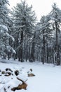 various winter landscape photos in the mountains Royalty Free Stock Photo