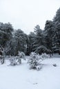 various winter landscape photos in the mountains Royalty Free Stock Photo