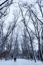 Walking on snow Royalty Free Stock Photo