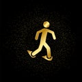 Walking with snowshoes gold, icon. Vector illustration of golden particle